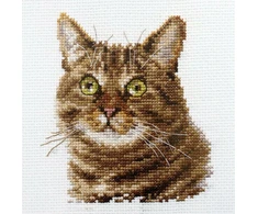 Alisa Beldizart Katės akys S0-135