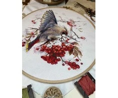 Andriana Beldizart Kryželių siuvinėjimo rinkinys "Waxwing" 19x19,5 cm SANS-72