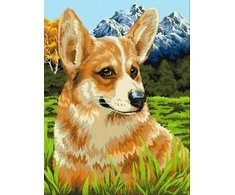 Tapyba pagal numerius Wizardi Beldizart Tapymas pagal numerius rinkinys "Korgis pasivaikščiojime" 40x50 cm H094