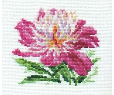 Alisa Beldizart Rožinė Peony S0-119