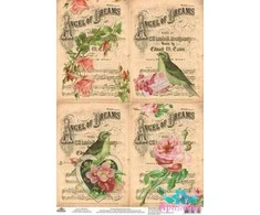 Beldizart Ryžių kortelė dekupažui "Vintage birds" dydis: 21 * 30 cm AM400265D