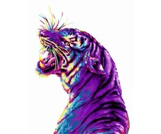 Wizardi Beldizart SALE Dailininko rinkinys 40x50 cm H136