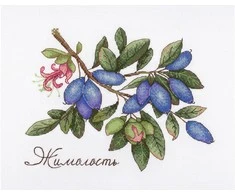 Vulcan Siuvinėjimo rinkinys SNV-648