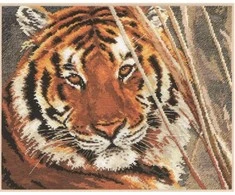 Alisa Beldizart Tiger S1-08