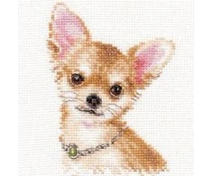 Alisa Beldizart Chihuahua S1-30