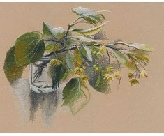 Oven Beldizart Kryželio siuvinėjimo rinkinys "Linden fragrance" S1582