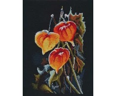 Oven Beldizart Kryželiu siuvinėjimo rinkinys „Physalis ant juodo“ S1617