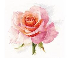 Alisa Beldizart Rožių švelnumas S2-40