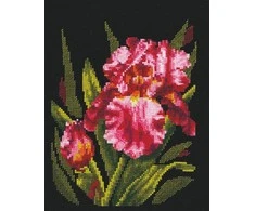 Andriana Beldizart Aksominis Iris SANB-15