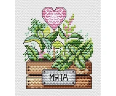 MP Studia Beldizart Mint SM-637