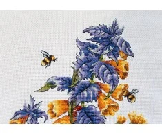 MP Studia Beldizart Melampyrum nemorosum SNV-778