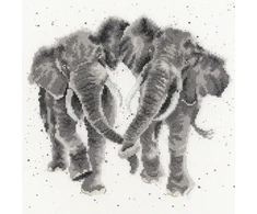 Bothy Threads Cross stitch kit "Age Is Irrelephant" XHD27 26x26 cm