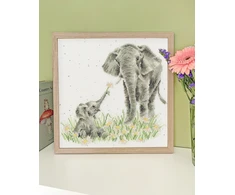 Bothy Threads Cross stitch kit "Bloom And Grow" XHD155 26x26 cm