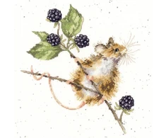 Bothy Threads Cross stitch kit "Brambles" XHD91 26x26 cm