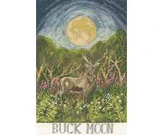 Bothy Threads Cross stitch kit "Buck Moon" XDD16 18x27 cm