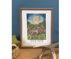 Bothy Threads Cross stitch kit "Buck Moon" XDD16 18x27 cm
