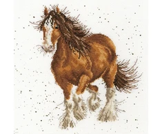 Bothy Threads Cross stitch kit "Feathers" XHD43 26x26 cm