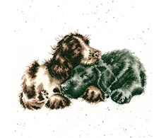 Bothy Threads Cross stitch kit "Growing Old Together" XHD104 26x26 cm