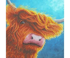 Bothy Threads Cross stitch kit "Highlander" XRF8 26x26 cm