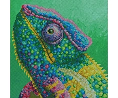 Bothy Threads Cross stitch kit "Illusion" XRF2 26x26 cm