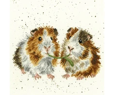 Bothy Threads Cross stitch kit "Lettuce Be Friends" XHD19 26x26 cm