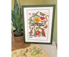 Bothy Threads Cross stitch kit "Magic Of Mother Nature" XZSL2 28x38 cm