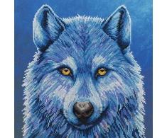 Bothy Threads Cross stitch kit "Mystique" XRF9 26x26 cm