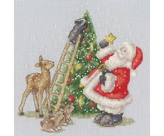 Bothy Threads Cross stitch kit "North Pole Star" XX26 19x19 cm