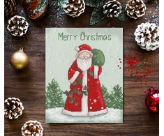 Bothy Threads Cross stitch kit "Ol' St Nick" XX21 15x18 cm