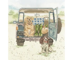 Bothy Threads Cross stitch kit "Paws For A Picnic" XHD126 31x33 cm