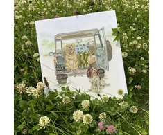 Bothy Threads Cross stitch kit "Paws For A Picnic" XHD126 31x33 cm