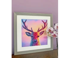 Bothy Threads Cross stitch kit "Poise" XRF15 26 xx 26 cm