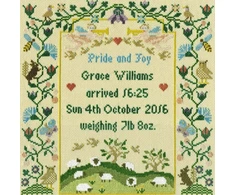 Bothy Threads Cross stitch kit "Pride and Joy" XS12 24x25 cm