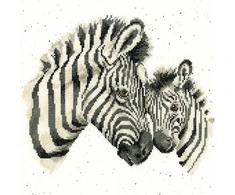 Bothy Threads Cross stitch kit "Racing Stripes" XHD96 26x26 cm