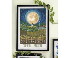Bothy Threads Cross stitch kit "Seed Moon" XDD13 18x27 cm