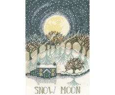 Bothy Threads Cross stitch kit "Snow Moon" XDD4 18x27 cm