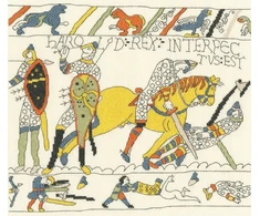 Bothy Threads Cross stitch kit "The Demise Of King Harold" XBT5 30x26 cm