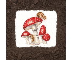Bothy Threads Cross stitch kit "The Fairy Ring" XHD101 26x26 cm