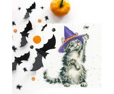 Bothy Threads Cross stitch kit "The Witch's Cat" XHD105 26x26 cm