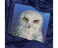 Bothy Threads Cross stitch kit "Wisdom" XRF12 26x26 cm