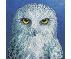 Bothy Threads Cross stitch kit "Wisdom" XRF12 26x26 cm