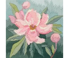 Bothy Threads Ilgo dygsnio rinkinys "Long Stitch - Bijūnas" DWLSPY 20.5x21.5 cm