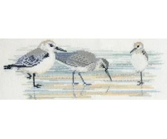 Bothy Threads Siuvinėjimo kryželiu rinkinys "Paukščiai - Tilvikai" BT-DWBB03 30x11 cm