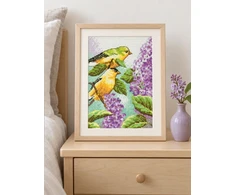 DIMENSIONS Groves Of Thame Goldfinch ir alyvos D70-65153