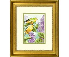 DIMENSIONS Groves Of Thame Goldfinch ir alyvos D70-65153