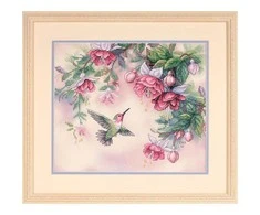 Dimensions Groves Of Thame Hummingbird Fuchsias išmatavimai D13139