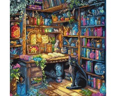 Letistitch Kryželiu siuvinėjimo rinkinys „Užburta biblioteka“ 29x29 cm SLETIL9935