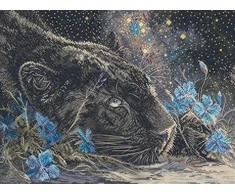 Letistitch Siuvinėjimo rinkinys "Žvaigždėtos svajonės" 37 x 27 cm SLETIL9984