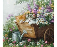luca S Kryželių siuvinėjimo rinkinys. "Miegančio kačiuko" 33x30 cm SBU5093