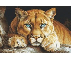 luca S Kryželio siuvinėjimo rinkinys "Laukinė dvasia" 48x32cm SBU5081
